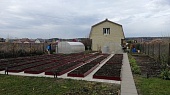 Грядка оцинкованная с полимерным покрытием высота 20 см ширина до 1 м